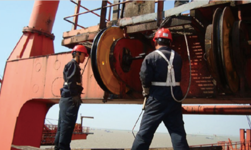 ж��������