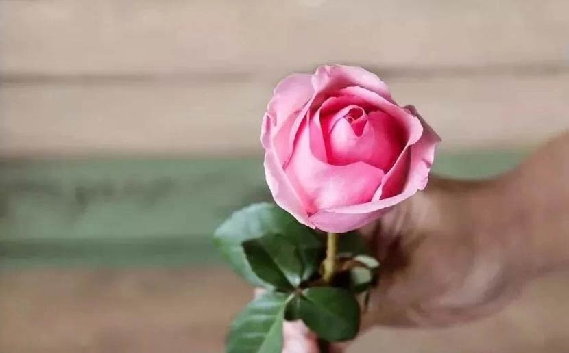 �����������緶