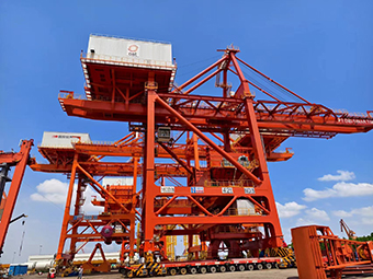 ���ָ�ylg888888(�й�)���޹�˾